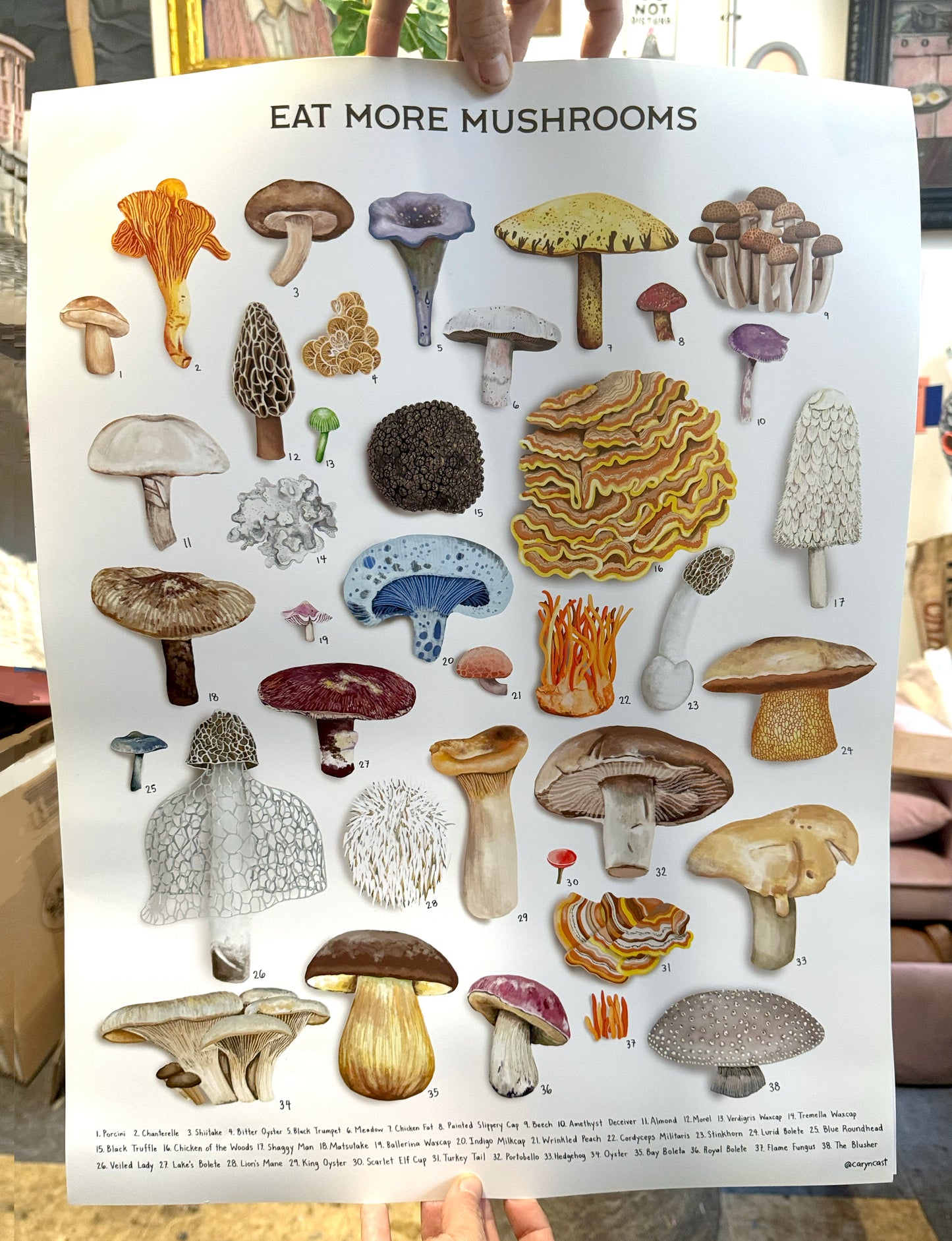 Eat More Mushrooms