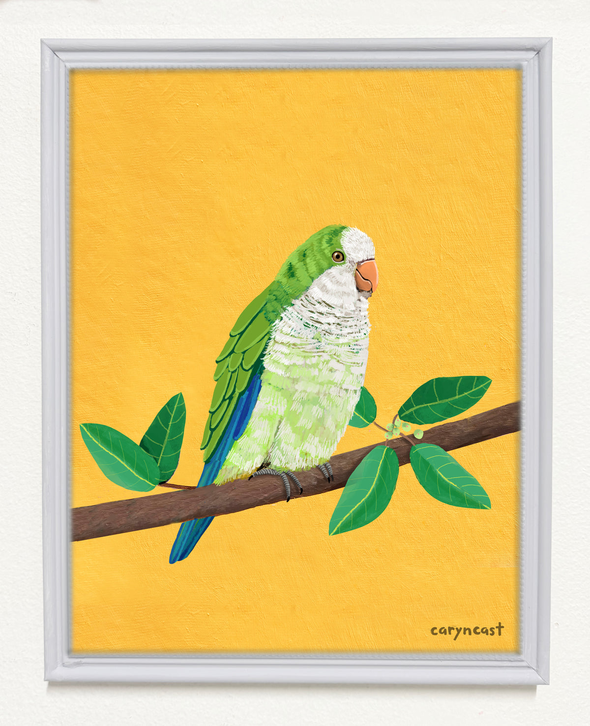 Monk Parrot from Greenwood Cemetery Print