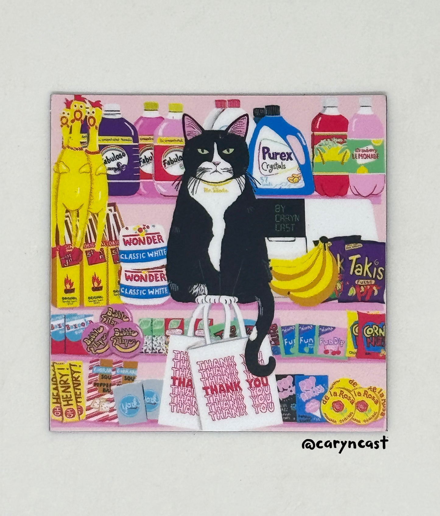 Mr. Snacks the Bodega Kitty Magnet