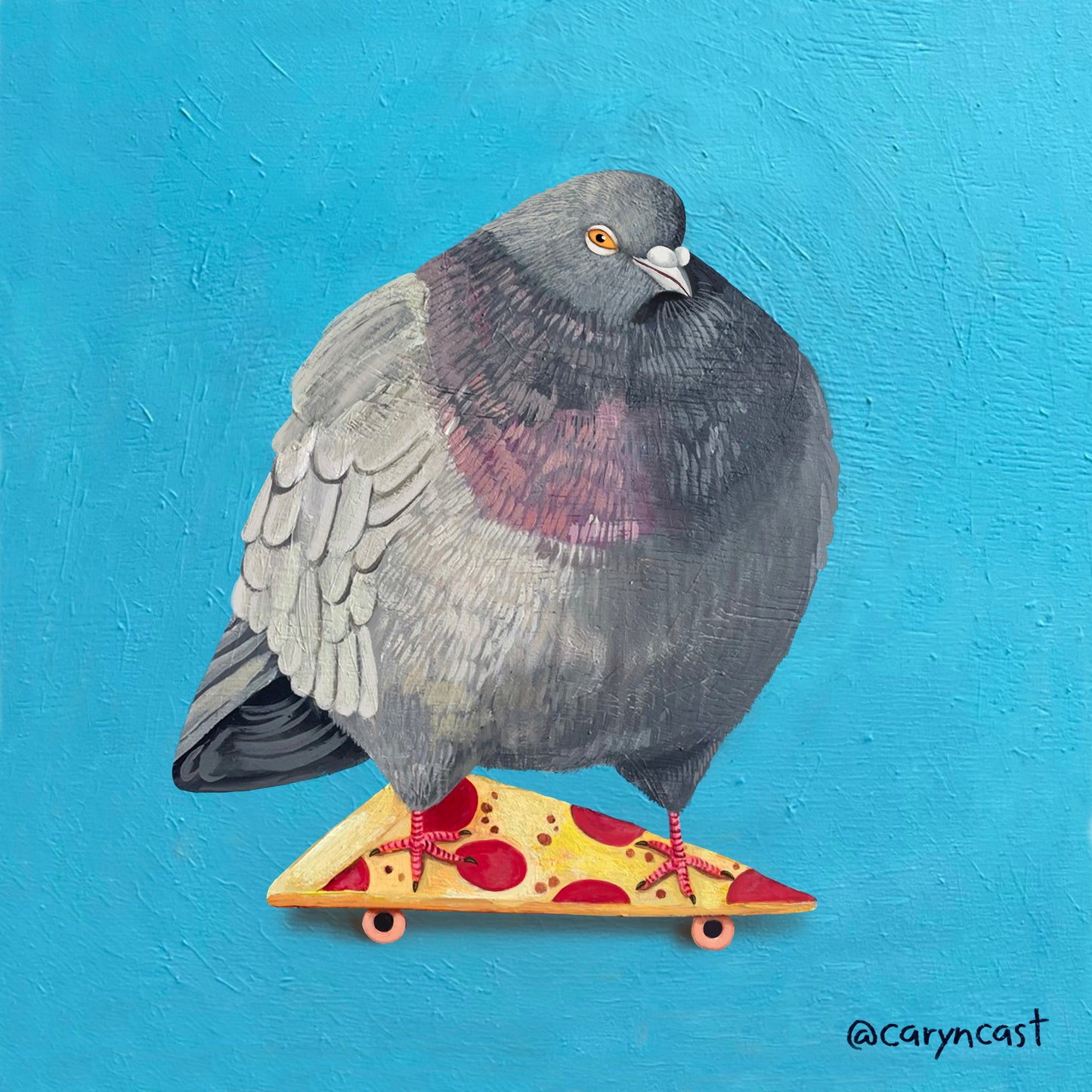 Pizza Pigeon Postcard