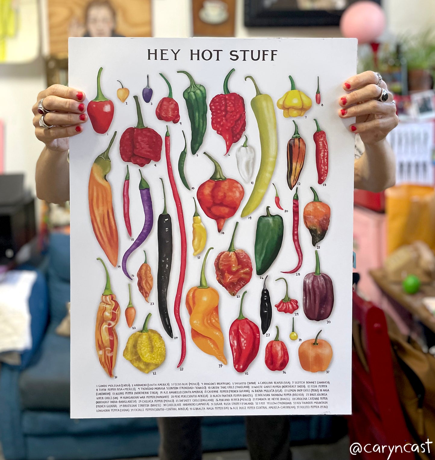 Hey Hot Stuff Chili Pepper Poster