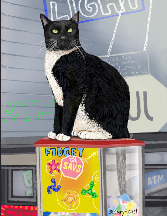 Allen the Shiny Boy of Broadway