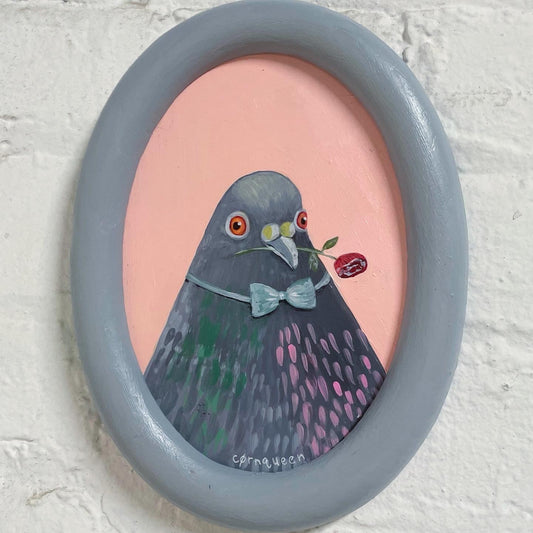 Big Flirt Pigeon