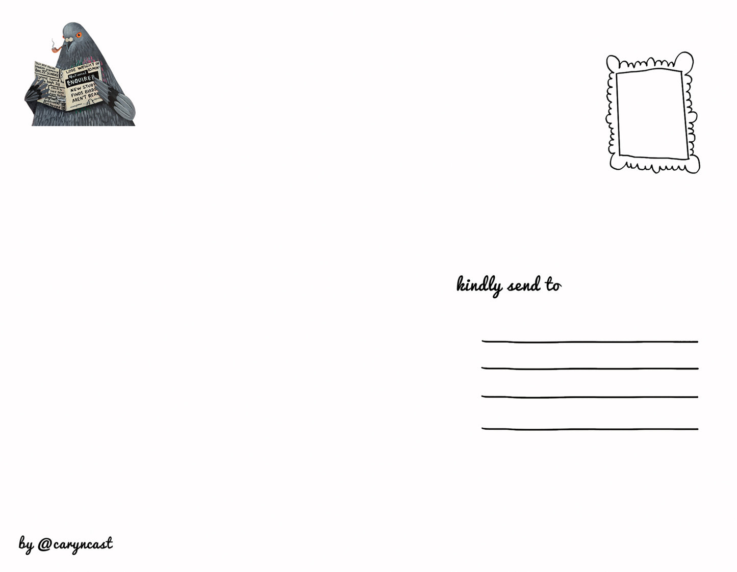 Birds Aren't Real Postcard