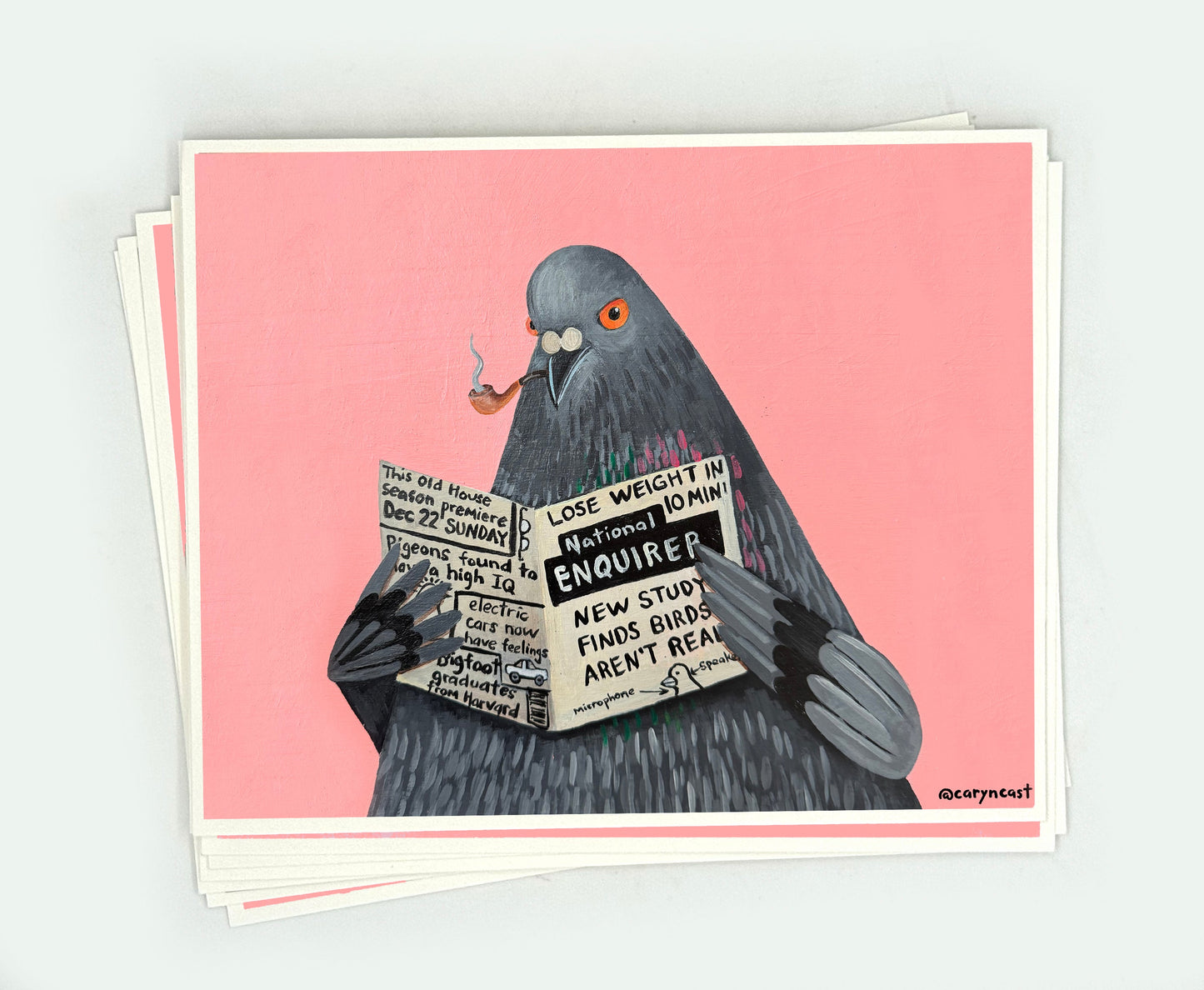 Birds Aren't Real Postcard