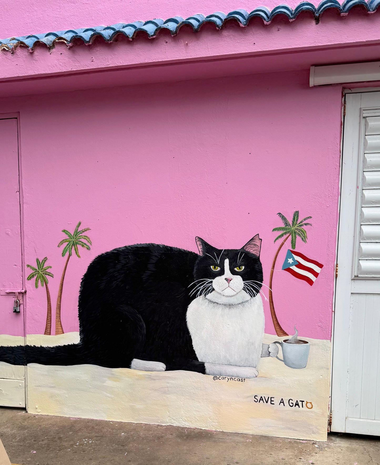 Buddha the Cat sticker by Caryn Cast