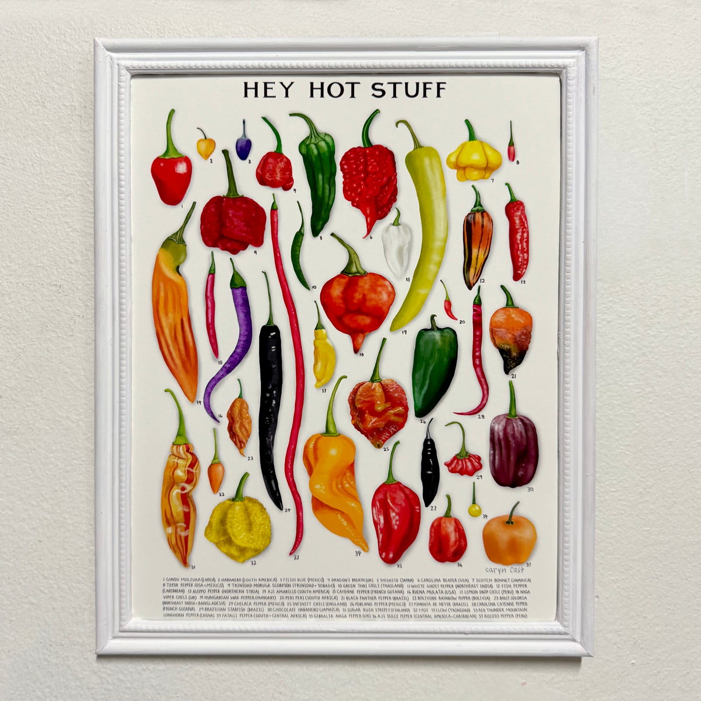 Hey Hot Stuff Chili Pepper Print