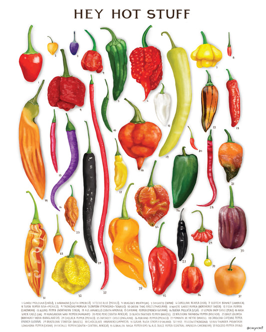 Hey Hot Stuff Chili Pepper Print