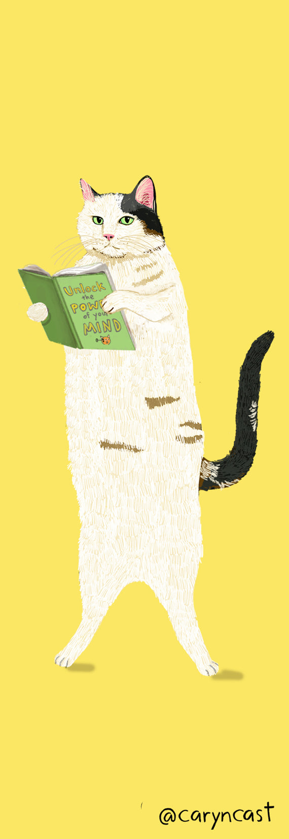 Reading Cats Bookmark Set