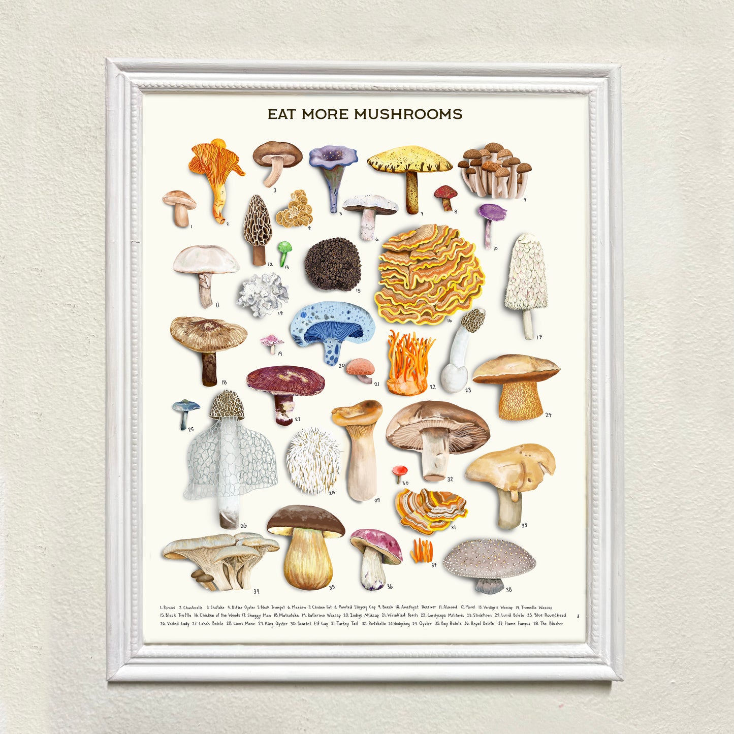 Eat More Mushrooms
