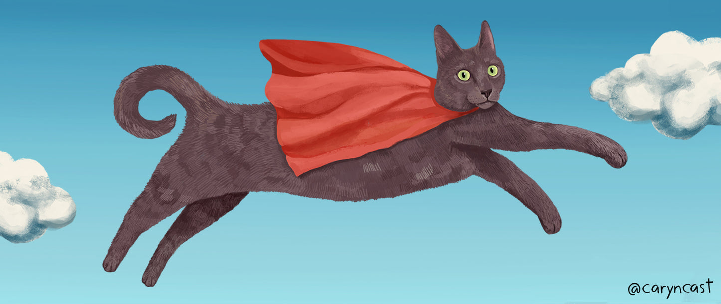Reading Cats Bookmark Set