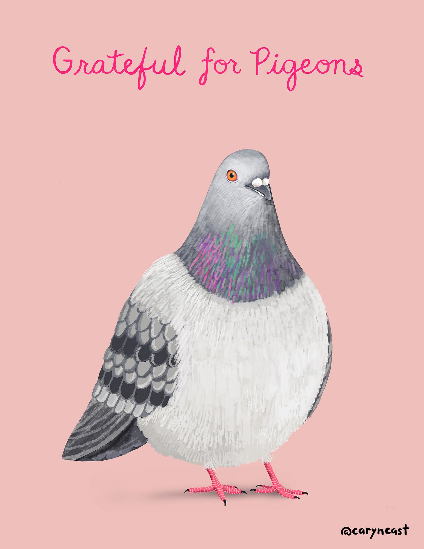 Grateful for Pigeons