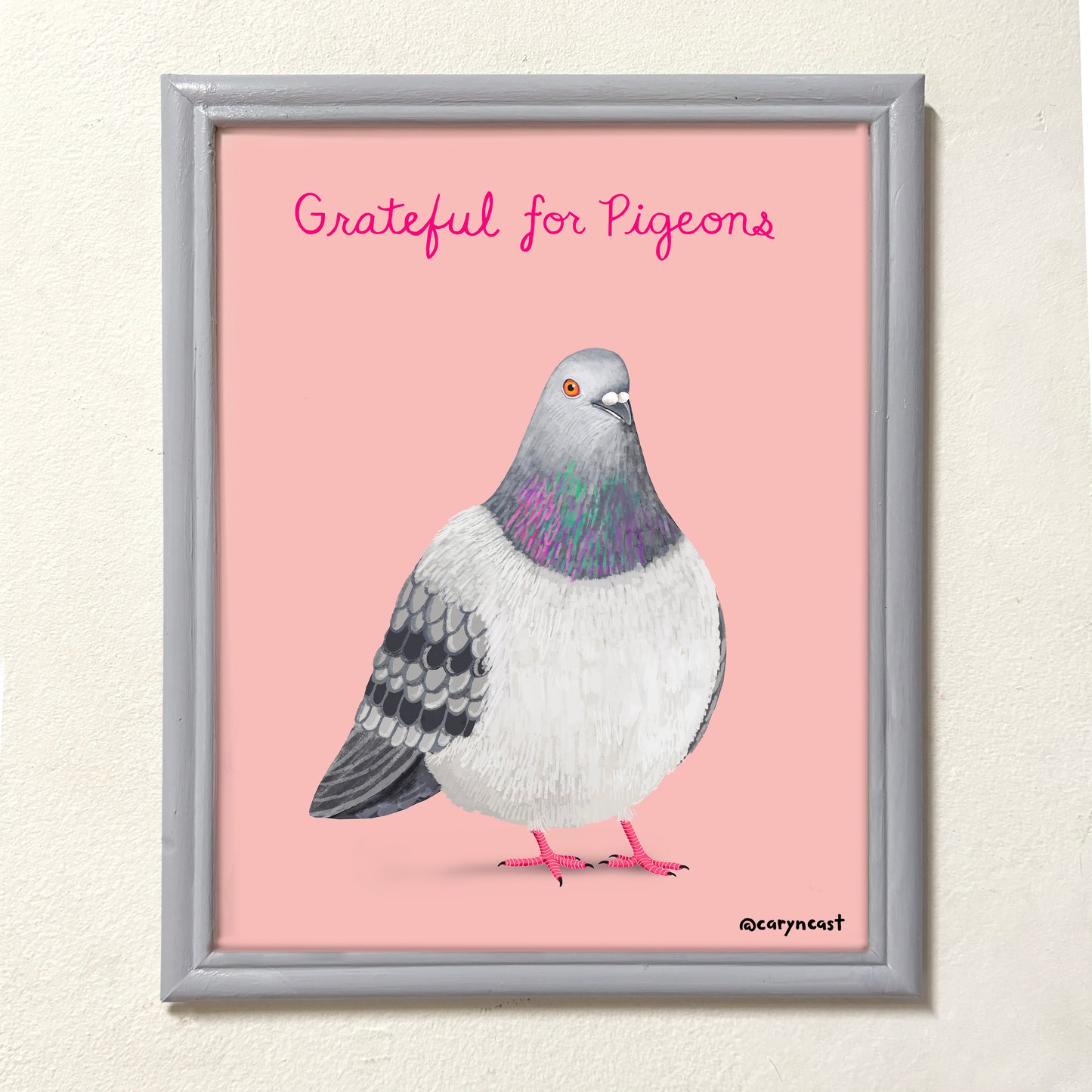 Grateful for Pigeons