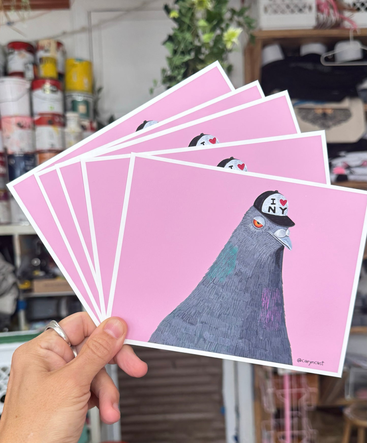 Grumpy Pigeon Postcards