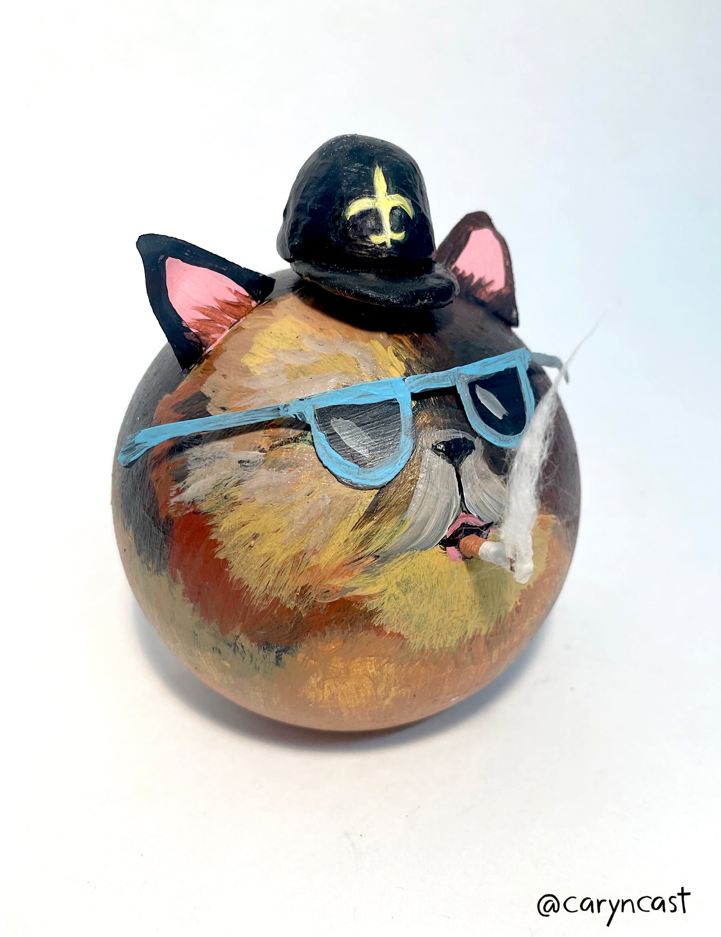 Houdini the Smoking Cat with Shades