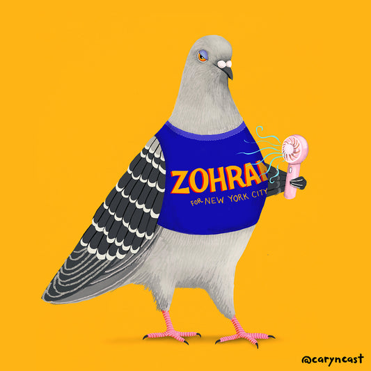 Jerry for Zohran magnet
