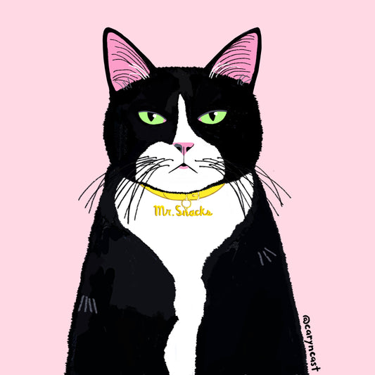 Mr. Snacks Sticker