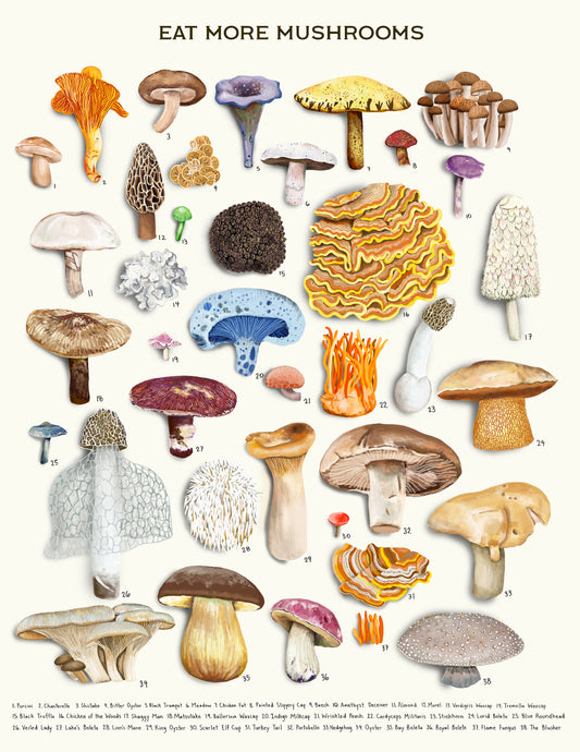 Eat More Mushrooms