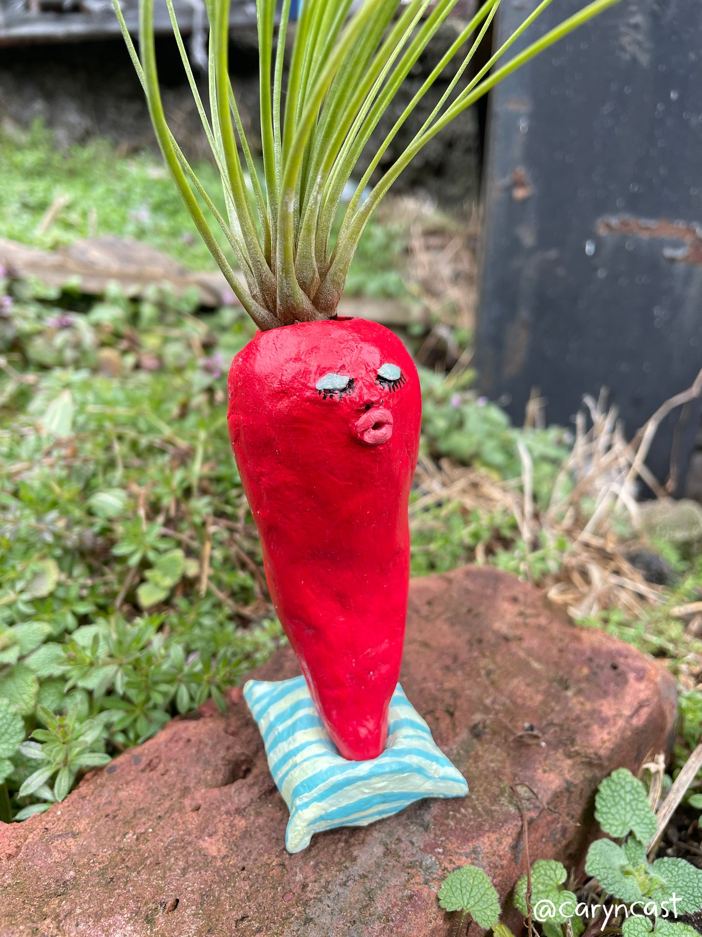 Chili Pepper Planter