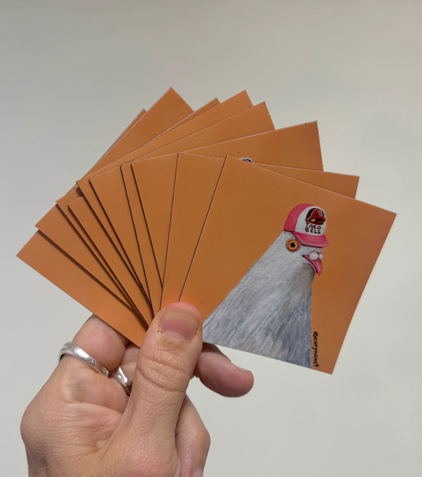 Taco Bell Pigeon Magnet