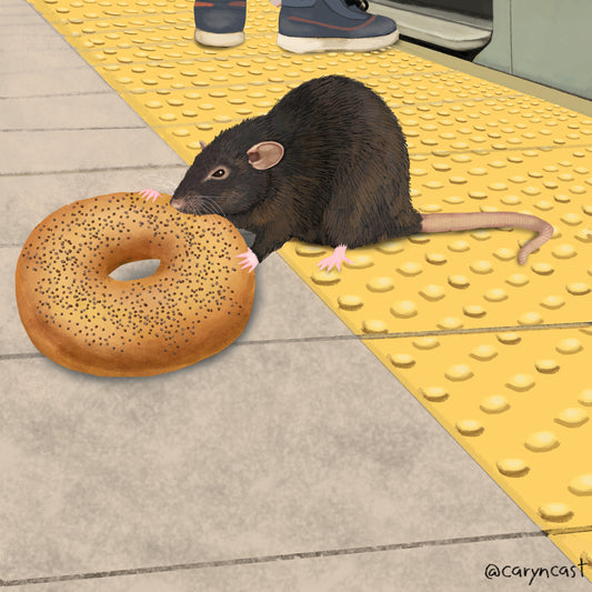 Bagel Rat sticker