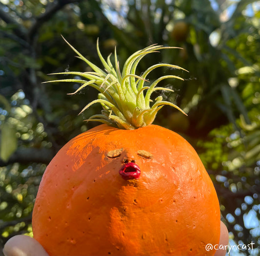 Candy the Orange Planter