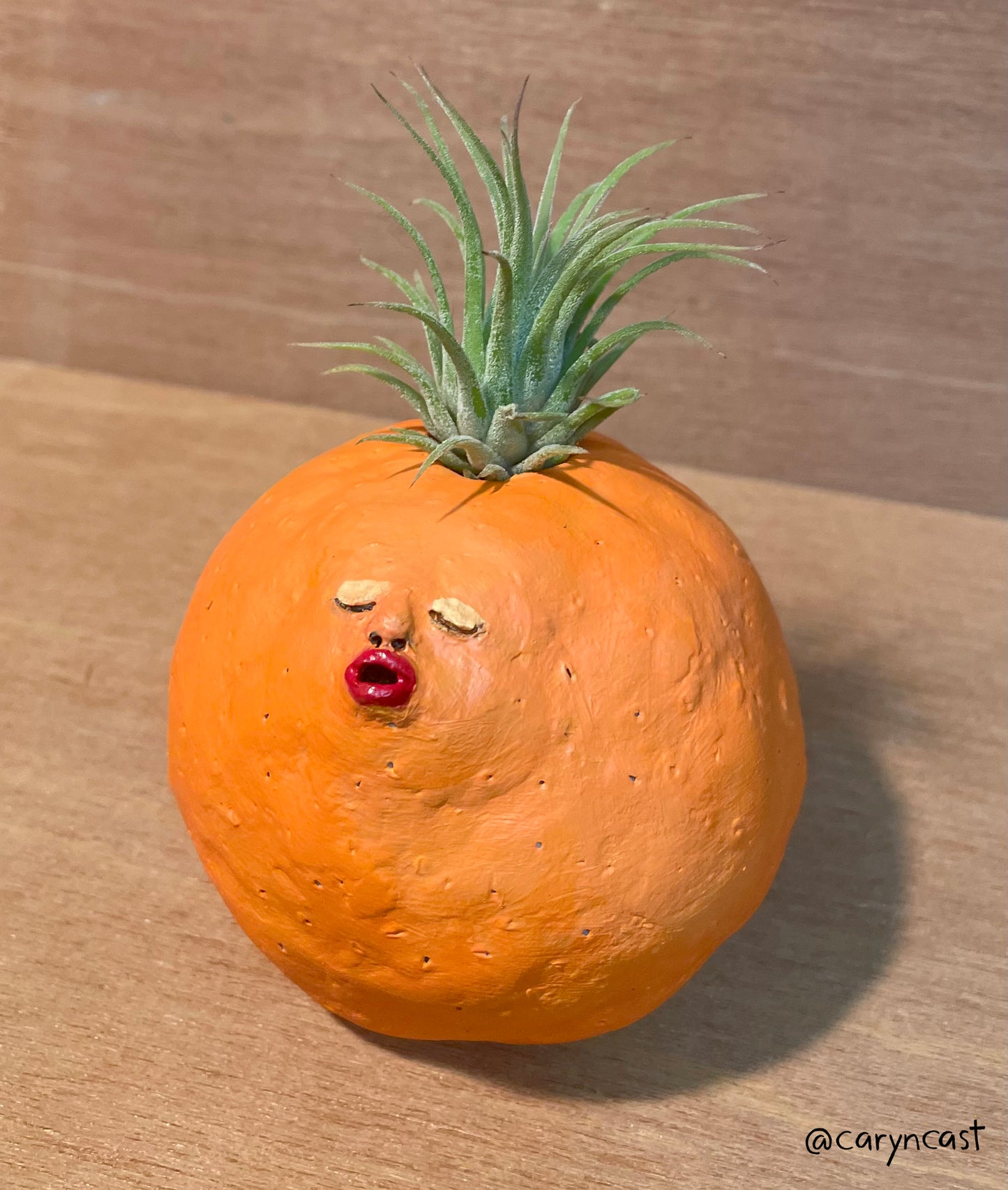 Candy the Orange Planter