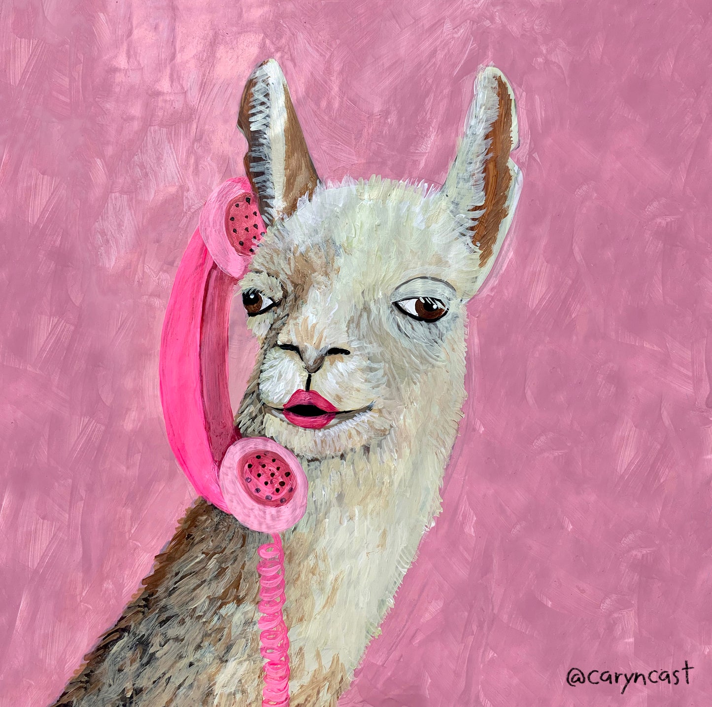 Oh Hayy LLama