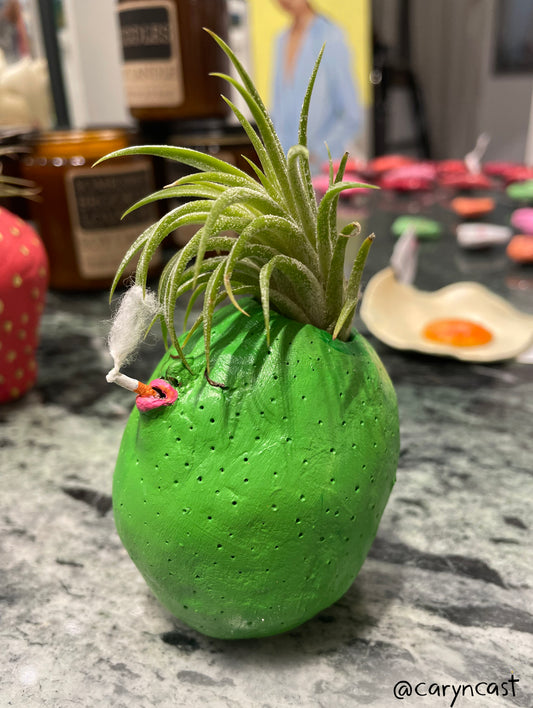 Punk Lime Planter