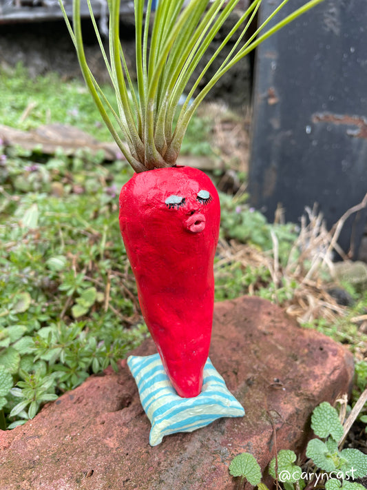 Señor Chili Pepper by Caryn Cast