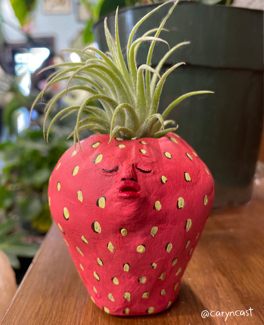 Sweetie the Strawberry Planter