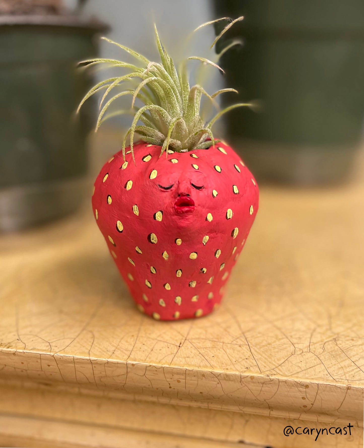 Sweetie the Strawberry Planter